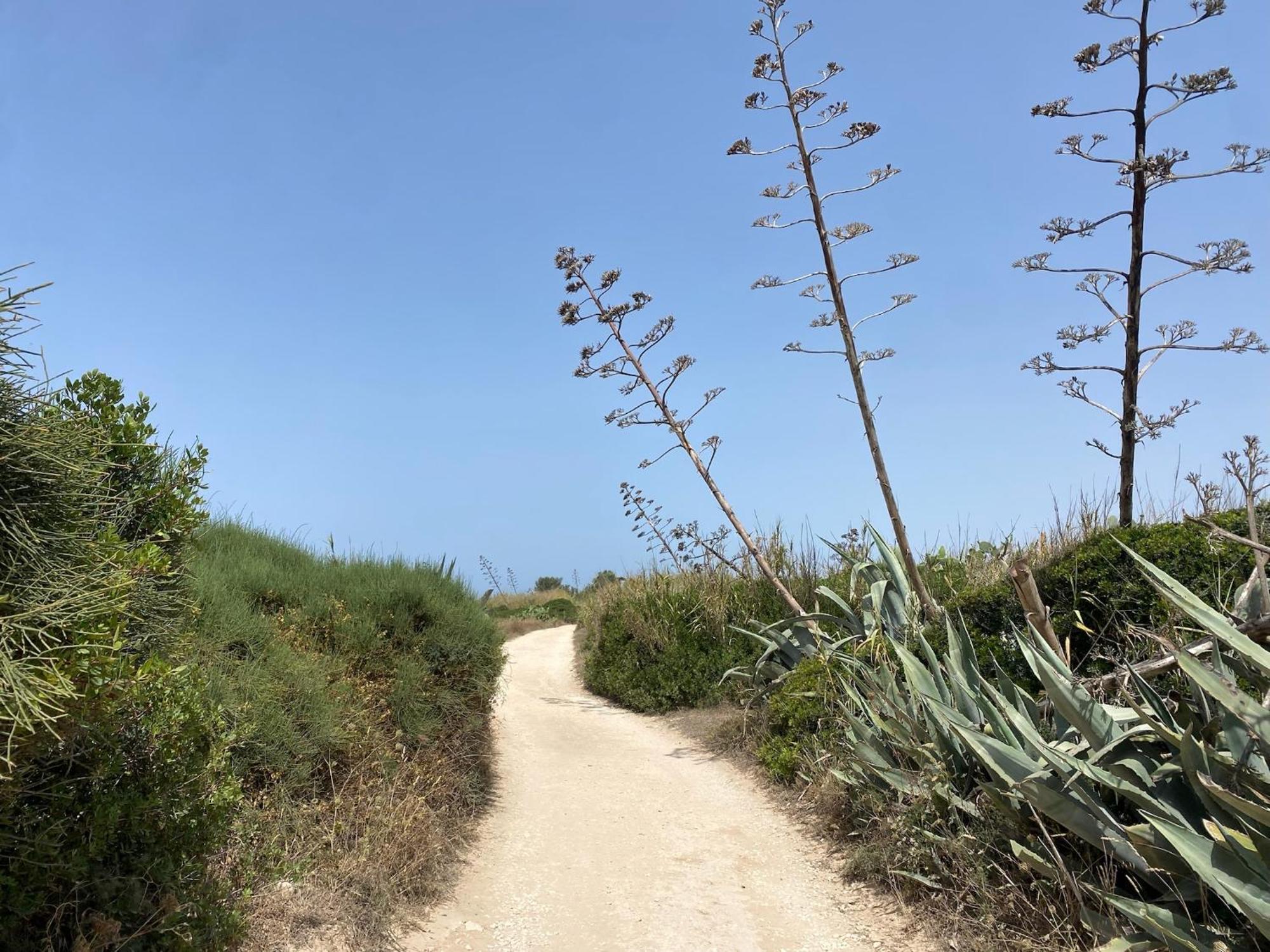 Ificumori, Campagna Ammare Villa Marina di Modica Dış mekan fotoğraf