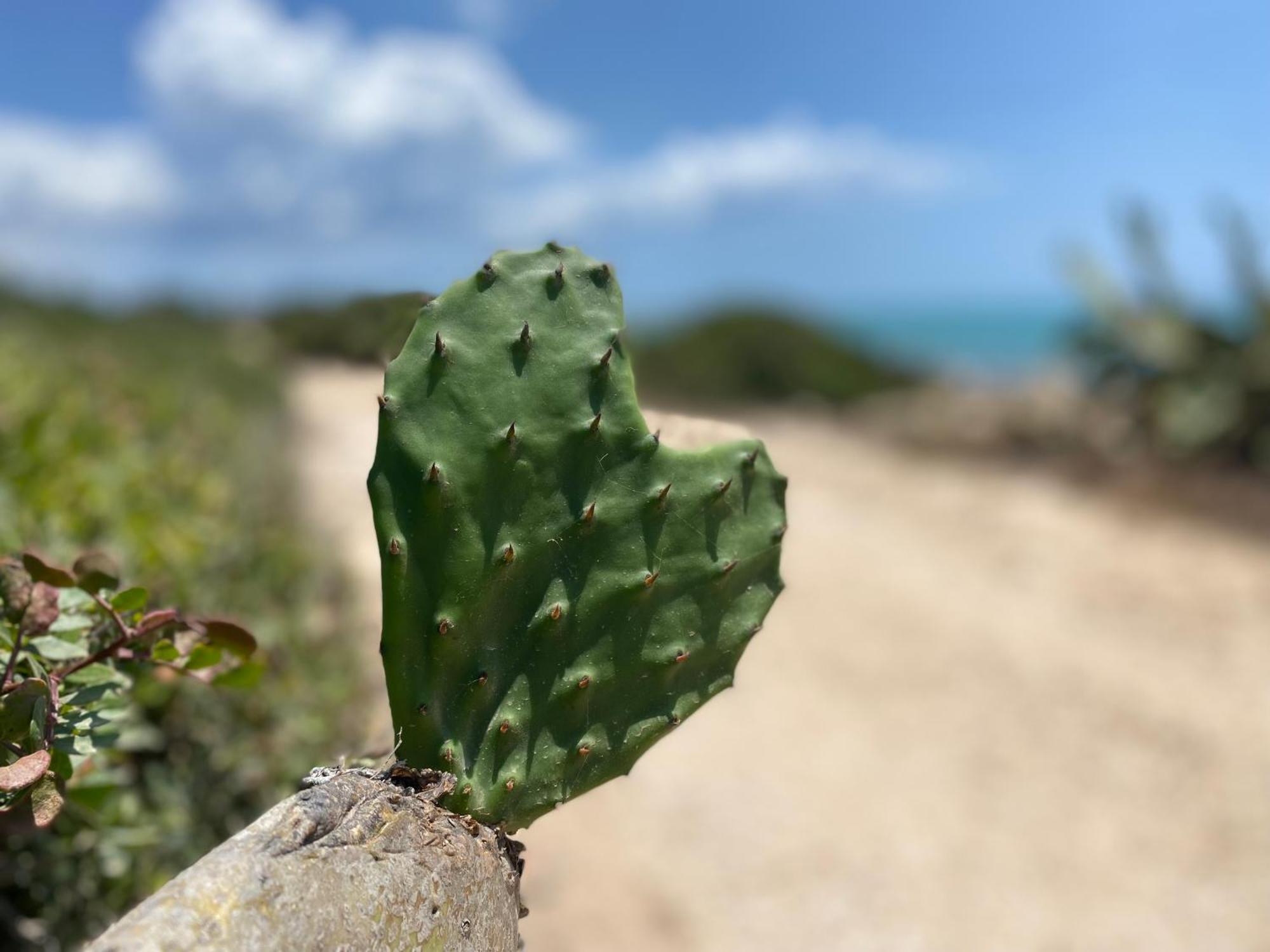 Ificumori, Campagna Ammare Villa Marina di Modica Dış mekan fotoğraf
