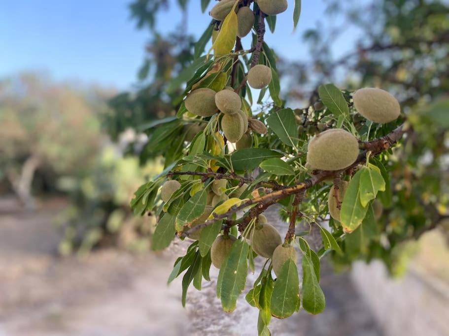 Ificumori, Campagna Ammare Villa Marina di Modica Dış mekan fotoğraf