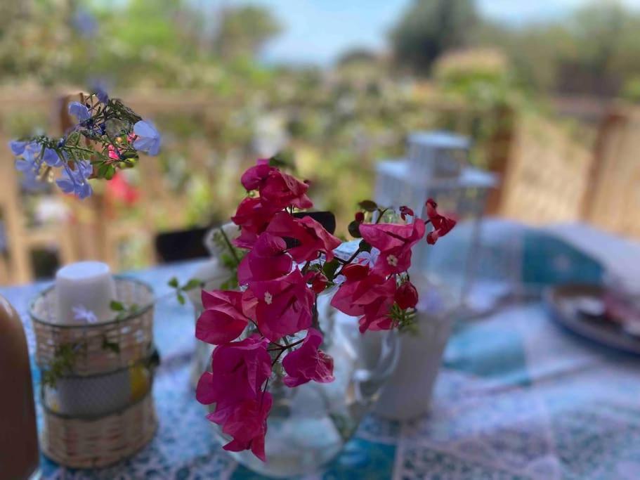Ificumori, Campagna Ammare Villa Marina di Modica Dış mekan fotoğraf