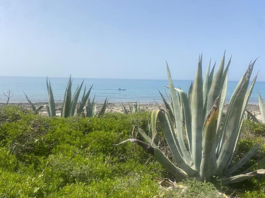 Ificumori, Campagna Ammare Villa Marina di Modica Dış mekan fotoğraf