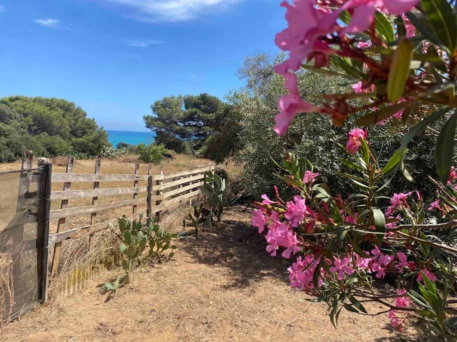 Ificumori, Campagna Ammare Villa Marina di Modica Dış mekan fotoğraf