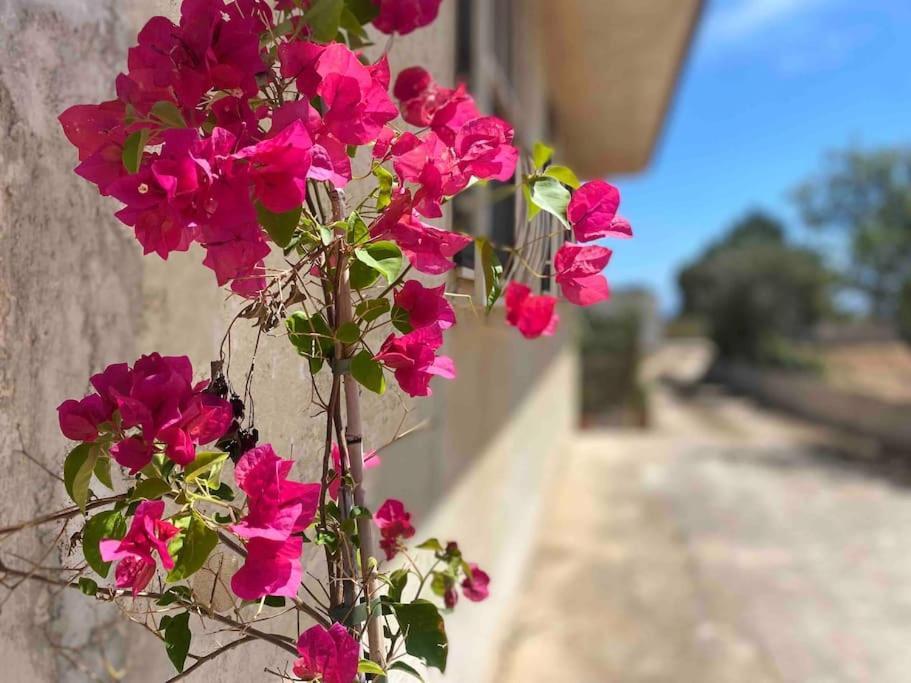 Ificumori, Campagna Ammare Villa Marina di Modica Dış mekan fotoğraf