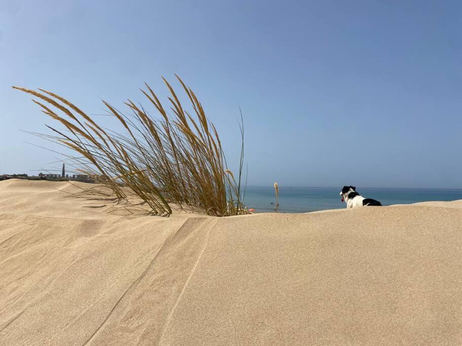 Ificumori, Campagna Ammare Villa Marina di Modica Dış mekan fotoğraf